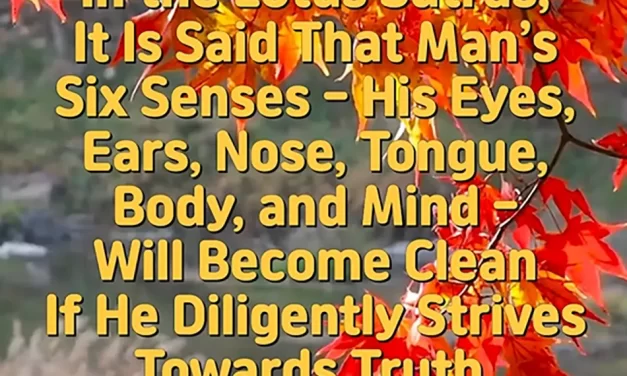 🌸 Cleansing the Six Senses Through Truth: Returning to the Original Self Beyond Self | Master Woo Myung | Santa Clara Meditation