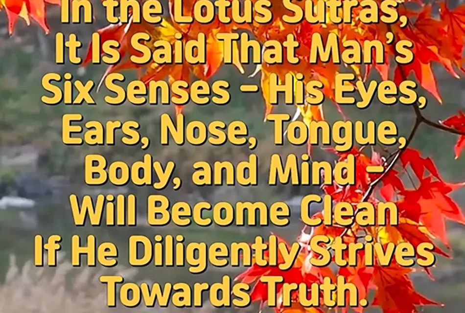 🌸 Cleansing the Six Senses Through Truth: Returning to the Original Self Beyond Self | Master Woo Myung | Santa Clara Meditation