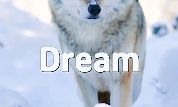 🌌 Dream: Understanding Life as a Futile Illusion and Seeking True Value | Master Woo Myung | Santa Clara Meditation