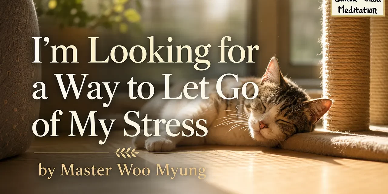 π I’M LOOKING FOR A WAY TO LET GO OF MY STRESS | MASTER WOO MYUNG | SANTA CLARA MEDITATION