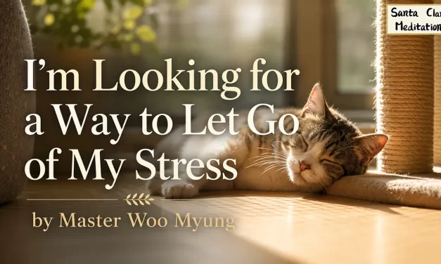🌈 I’M LOOKING FOR A WAY TO LET GO OF MY STRESS | MASTER WOO MYUNG | SANTA CLARA MEDITATION