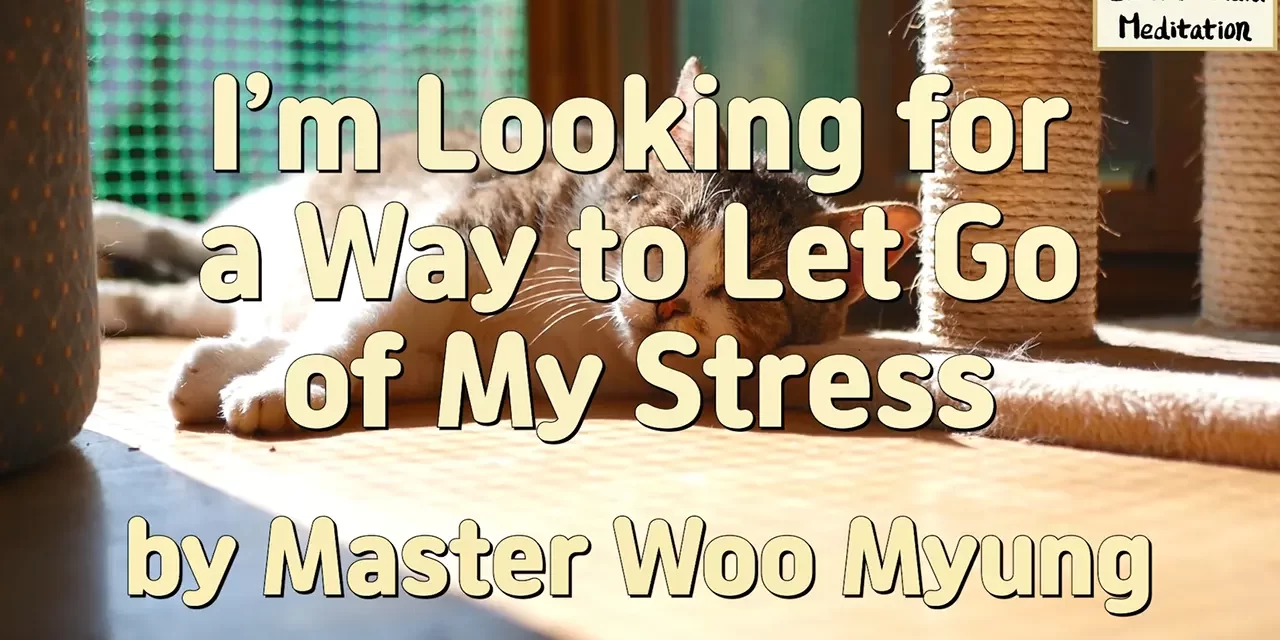 🌈 I’M LOOKING FOR A WAY TO LET GO OF MY STRESS | MASTER WOO MYUNG | SANTA CLARA MEDITATION