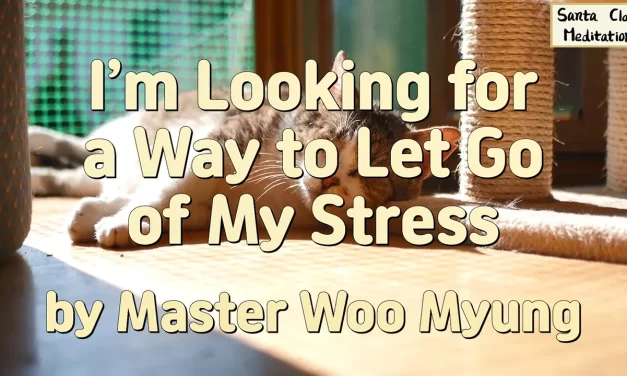 🌈 I’M LOOKING FOR A WAY TO LET GO OF MY STRESS | MASTER WOO MYUNG | SANTA CLARA MEDITATION