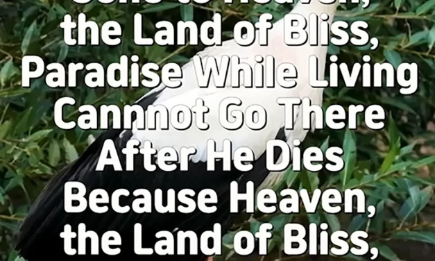 🌈 Heaven, Paradise, and the Land of Bliss Exist Only Within the Mind | Master Woo Myung | Santa Clara Meditation