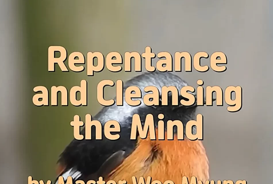 🌿 Repentance and Cleansing the Mind: Absolution from Sin Through Truth | Master Woo Myung | Santa Clara Meditation