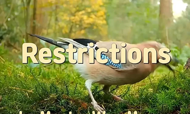 🔒 Restrictions: Karma, Burdens of the Mind, and the Path to Liberation in Truth | Master Woo Myung | Santa Clara Meditation