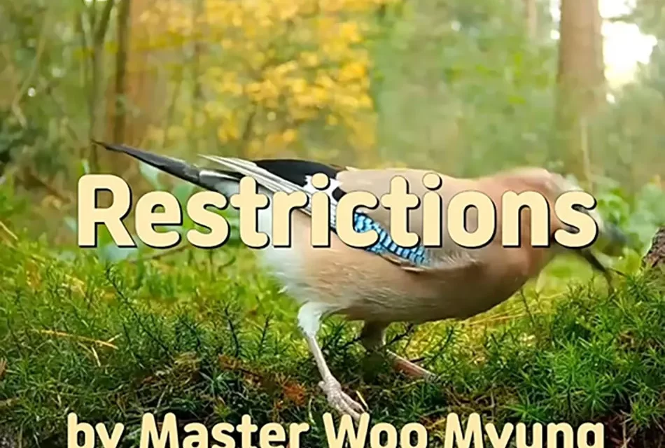 🔒 Restrictions: Karma, Burdens of the Mind, and the Path to Liberation in Truth | Master Woo Myung | Santa Clara Meditation