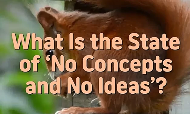 🕊️ The State of No Concepts and No Ideas: Living Without Self in Daily Life | Master Woo Myung | Santa Clara Meditation