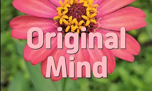 🌿 Original Mind: The Living Mind of God and the Creator of All Creations | Master Woo Myung | Santa Clara Meditation