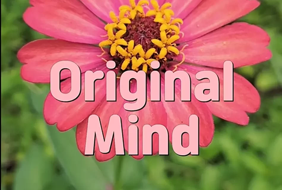 🌿 Original Mind: The Living Mind of God and the Creator of All Creations | Master Woo Myung | Santa Clara Meditation