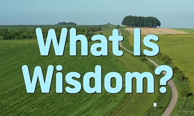 💡 WHAT IS WISDOM? SEEING WITH THE MIND OF TRUTH | MASTER WOO MYUNG | SANTA CLARA MEDITATION