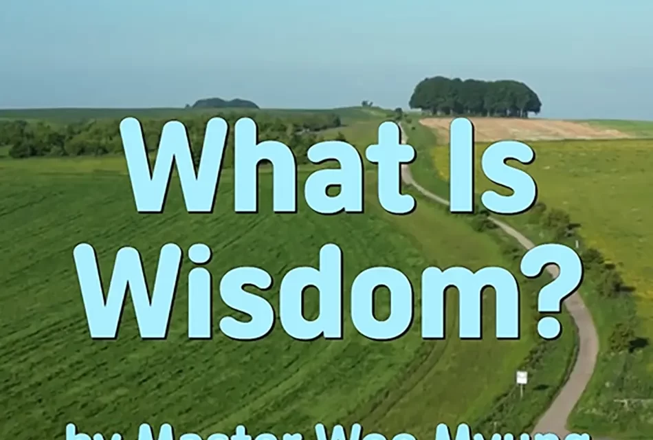 💡 WHAT IS WISDOM? SEEING WITH THE MIND OF TRUTH | MASTER WOO MYUNG | SANTA CLARA MEDITATION