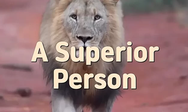 🌟 A Superior Person: True Humility Beyond Possession and Greed | Master Woo Myung | Santa Clara Meditation