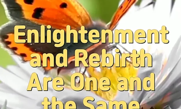 🌟 Enlightenment and Rebirth Are One: Awakening as the Great Soul and Spirit of the Universe | Master Woo Myung | Santa Clara Meditation