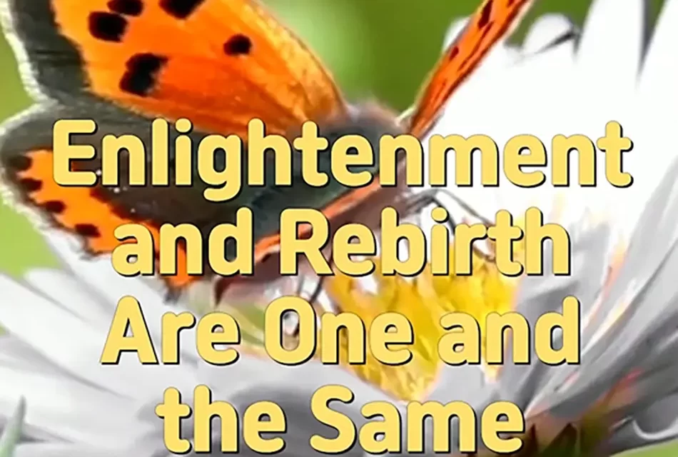 🌟 Enlightenment and Rebirth Are One: Awakening as the Great Soul and Spirit of the Universe | Master Woo Myung | Santa Clara Meditation