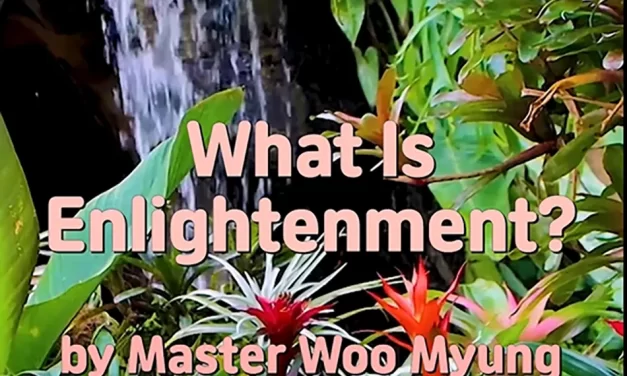🌟 WHAT IS ENLIGHTENMENT? AWAKENING THROUGH THE CLEANSING OF THE MIND | MASTER WOO MYUNG | SANTA CLARA MEDITATION