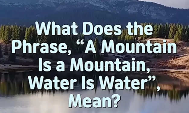 ⛰️💧 WHAT DOES THE PHRASE, “A MOUNTAIN IS A MOUNTAIN, WATER IS WATER,” MEAN? | MASTER WOO MYUNG | SANTA CLARA MEDITATION