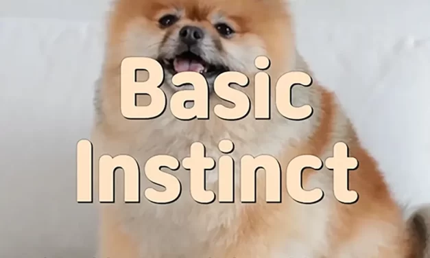 🌿 BASIC INSTINCT: LIVING ACCORDING TO ONE’S TRUE FORM | MASTER WOO MYUNG | SANTA CLARA MEDITATION