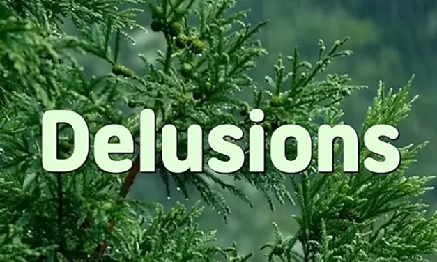 🌌 DELUSIONS: CHASING OUT THE FALSE DEMON WITHIN | MASTER WOO MYUNG | SANTA CLARA MEDITATION