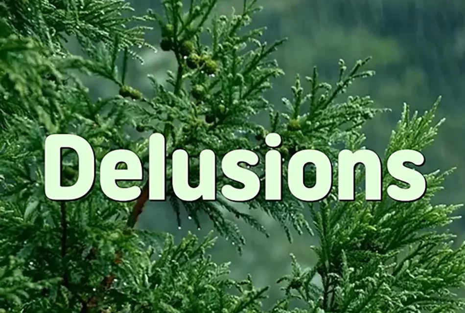 🌌 DELUSIONS: CHASING OUT THE FALSE DEMON WITHIN | MASTER WOO MYUNG | SANTA CLARA MEDITATION