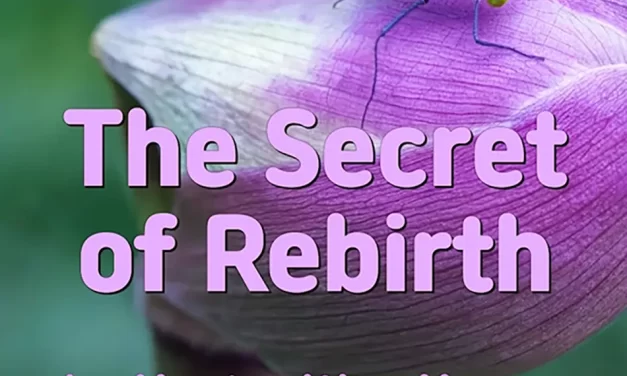 🔑 THE SECRET OF REBIRTH: REPENTANCE AND BECOMING ONE WITH GOD | MASTER WOO MYUNG | SANTA CLARA MEDITATION