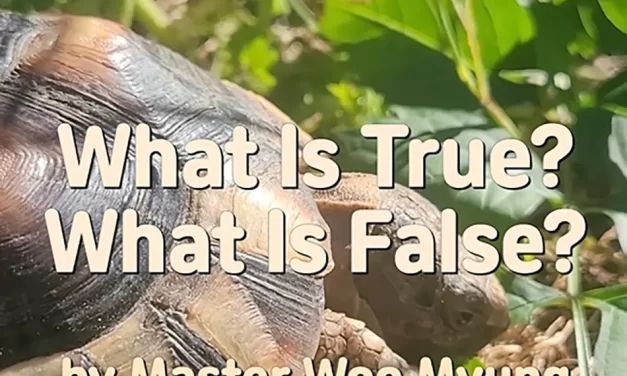 ⚖️ WHAT IS TRUE? WHAT IS FALSE? THE AGE OF SPIRITUAL CREATION | MASTER WOO MYUNG | SANTA CLARA MEDITATION