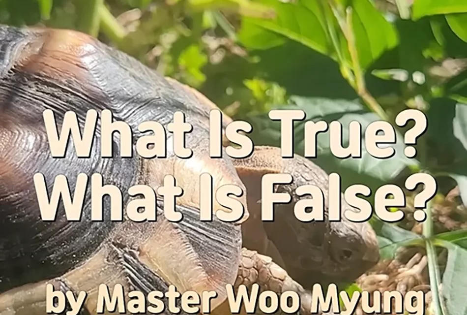 ⚖️ WHAT IS TRUE? WHAT IS FALSE? THE AGE OF SPIRITUAL CREATION | MASTER WOO MYUNG | SANTA CLARA MEDITATION