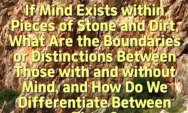 🪨 IF MIND EXISTS IN STONE AND DIRT, WHERE ARE THE BOUNDARIES? | MASTER WOO MYUNG | SANTA CLARA MEDITATION