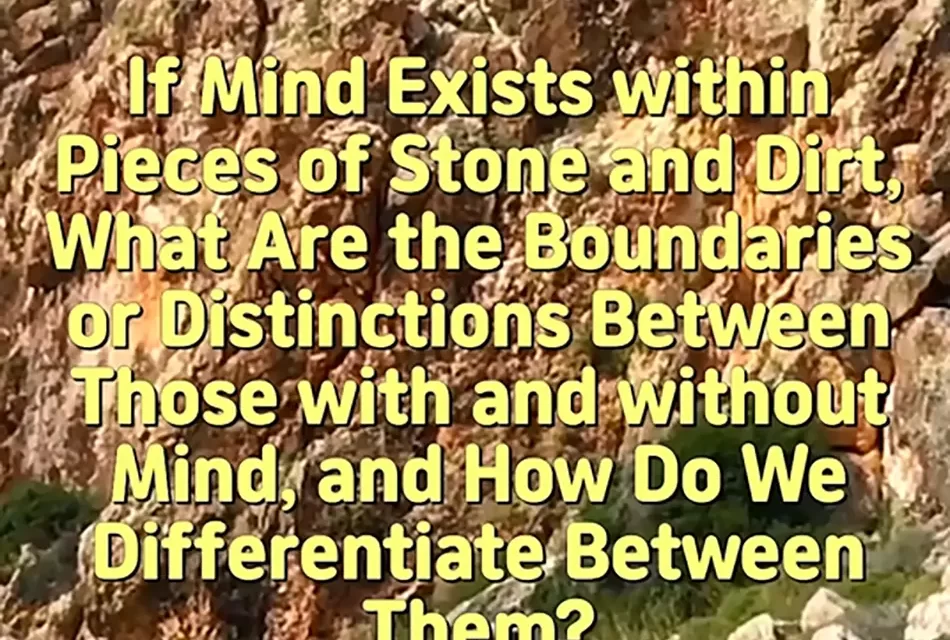 🪨 IF MIND EXISTS IN STONE AND DIRT, WHERE ARE THE BOUNDARIES? | MASTER WOO MYUNG | SANTA CLARA MEDITATION