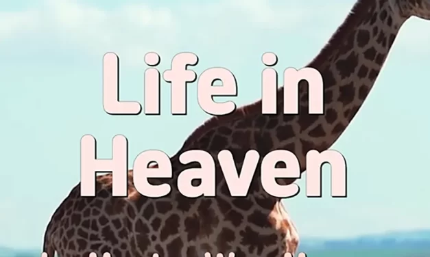 🌈 LIFE IN HEAVEN: LIVING IN TRUTH BEYOND THE SELF | MASTER WOO MYUNG | SANTA CLARA MEDITATION