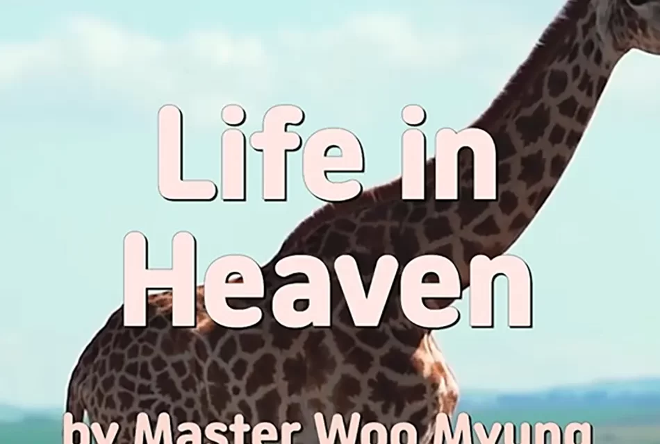 🌈 LIFE IN HEAVEN: LIVING IN TRUTH BEYOND THE SELF | MASTER WOO MYUNG | SANTA CLARA MEDITATION