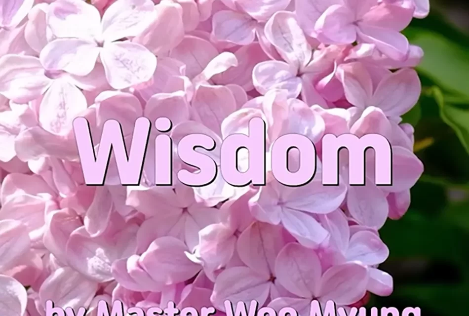 📚 WISDOM: KNOWING WITH THE CONSCIOUSNESS OF GOD | MASTER WOO MYUNG | SANTA CLARA MEDITATION