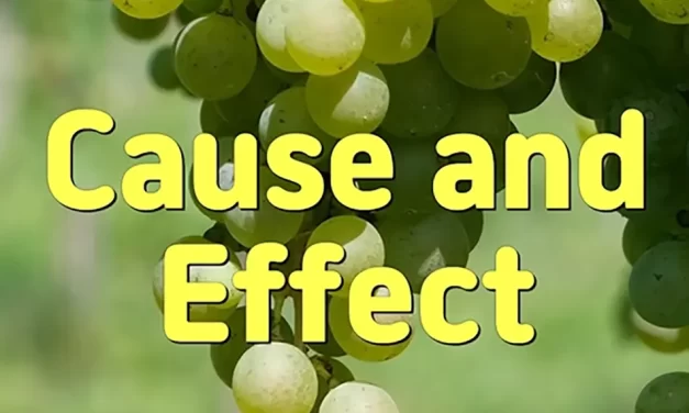 🔄 CAUSE AND EFFECT: FREEDOM FROM THE CYCLE OF KARMA | MASTER WOO MYUNG | SANTA CLARA MEDITATION