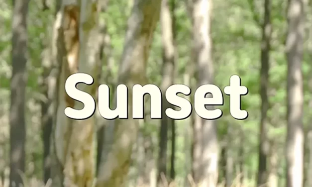 🌅 SUNSET: THE PASSING OF LIFE AND THE TEARS OF UNFULFILLMENT | MASTER WOO MYUNG | SANTA CLARA MEDITATION