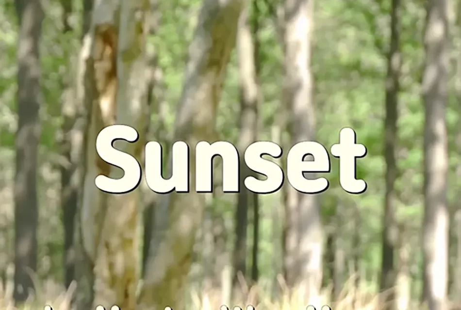 🌅 SUNSET: THE PASSING OF LIFE AND THE TEARS OF UNFULFILLMENT | MASTER WOO MYUNG | SANTA CLARA MEDITATION