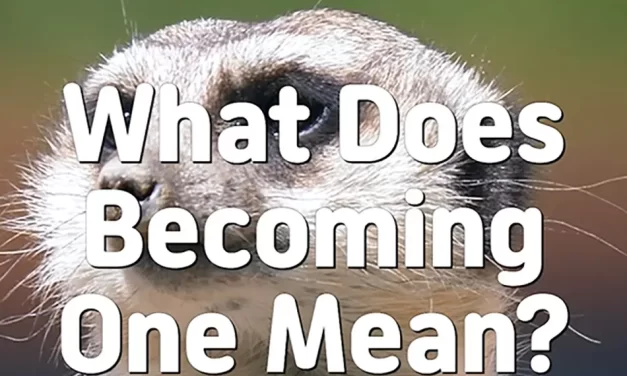 🌍 WHAT DOES BECOMING ONE MEAN? THE PEACEFUL UNITY OF ALL THINGS | MASTER WOO MYUNG | SANTA CLARA MEDITATION