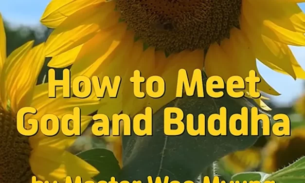 🙏 HOW TO MEET GOD AND BUDDHA: CLEANSING THE MIND TO REVEAL TRUTH | MASTER WOO MYUNG | SANTA CLARA MEDITATION