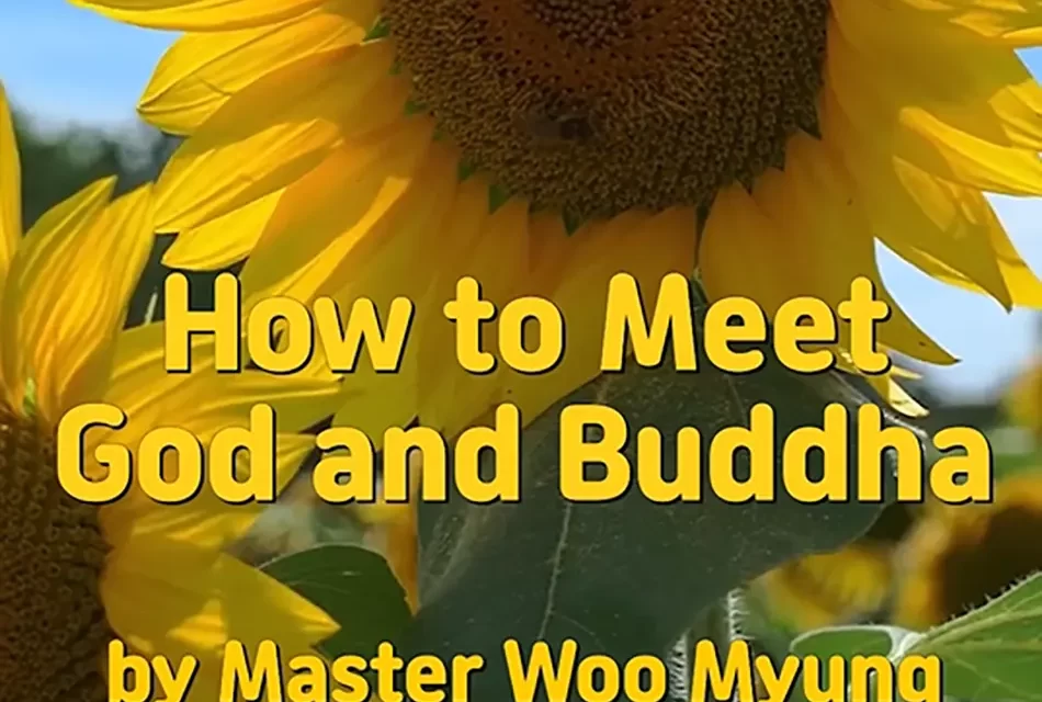 🙏 HOW TO MEET GOD AND BUDDHA: CLEANSING THE MIND TO REVEAL TRUTH | MASTER WOO MYUNG | SANTA CLARA MEDITATION