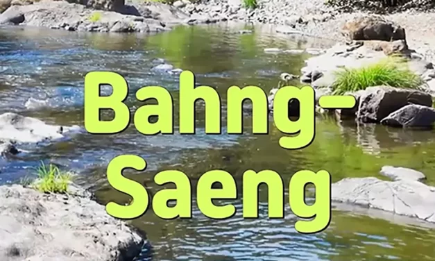 🐟 BAHNG-SAENG: TRUE FREEDOM IS FREEDOM FROM THE SELF | MASTER WOO MYUNG | SANTA CLARA MEDITATION