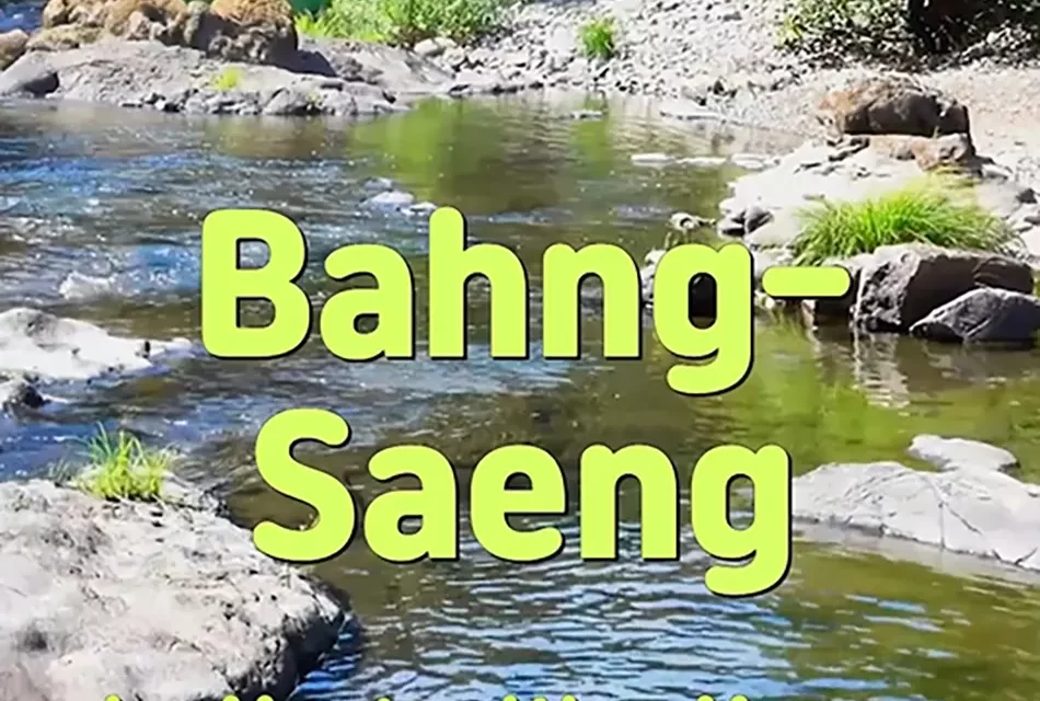 🐟 BAHNG-SAENG: TRUE FREEDOM IS FREEDOM FROM THE SELF | MASTER WOO MYUNG | SANTA CLARA MEDITATION