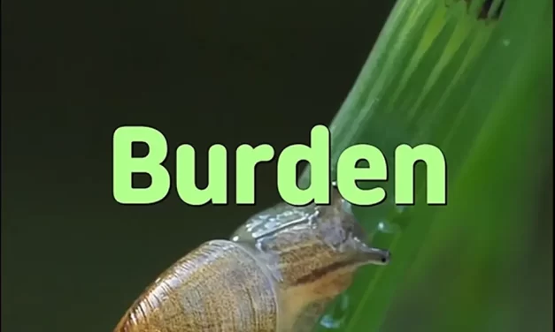 🎒 BURDEN: THE WEIGHT OF STORIES AND THE ABSENCE OF WISDOM | MASTER WOO MYUNG | SANTA CLARA MEDITATION