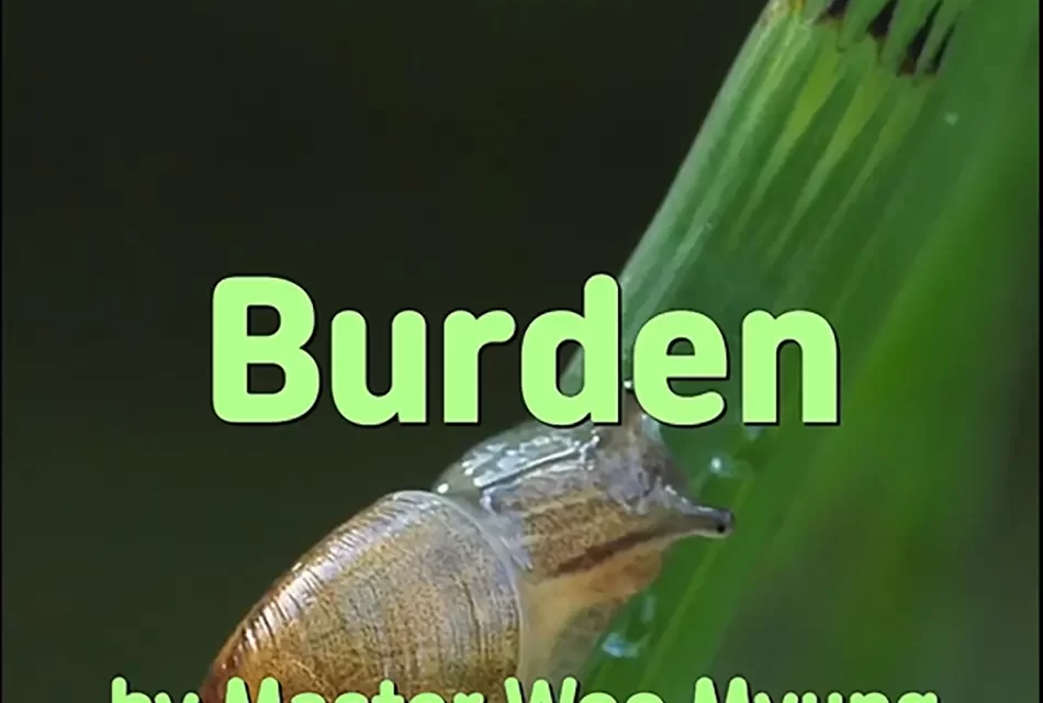 🎒 BURDEN: THE WEIGHT OF STORIES AND THE ABSENCE OF WISDOM | MASTER WOO MYUNG | SANTA CLARA MEDITATION