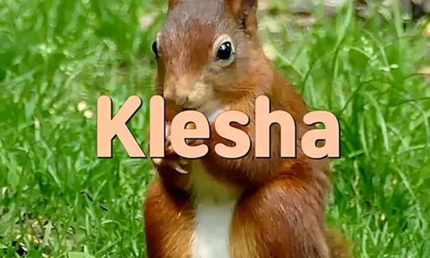 🔥 KLESHA: OVERCOMING DELUSIONAL DEMONS THROUGH WISDOM | MASTER WOO MYUNG | SANTA CLARA MEDITATION