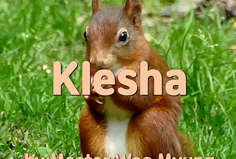 🔥 KLESHA: OVERCOMING DELUSIONAL DEMONS THROUGH WISDOM | MASTER WOO MYUNG | SANTA CLARA MEDITATION