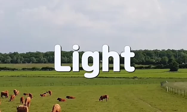 ✨ LIGHT: AWAKENING TO THE WILL OF THE UNIVERSE | MASTER WOO MYUNG | SANTA CLARA MEDITATION