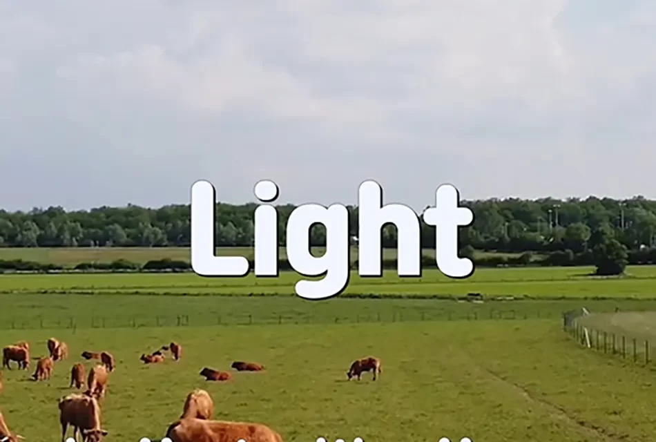 ✨ LIGHT: AWAKENING TO THE WILL OF THE UNIVERSE | MASTER WOO MYUNG | SANTA CLARA MEDITATION