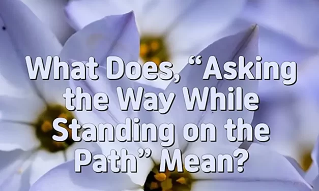 🚶‍♂️ WHAT DOES “ASKING THE WAY WHILE STANDING ON THE PATH” MEAN? | MASTER WOO MYUNG | SANTA CLARA MEDITATION