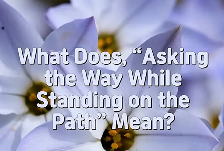 🚶‍♂️ WHAT DOES “ASKING THE WAY WHILE STANDING ON THE PATH” MEAN? | MASTER WOO MYUNG | SANTA CLARA MEDITATION