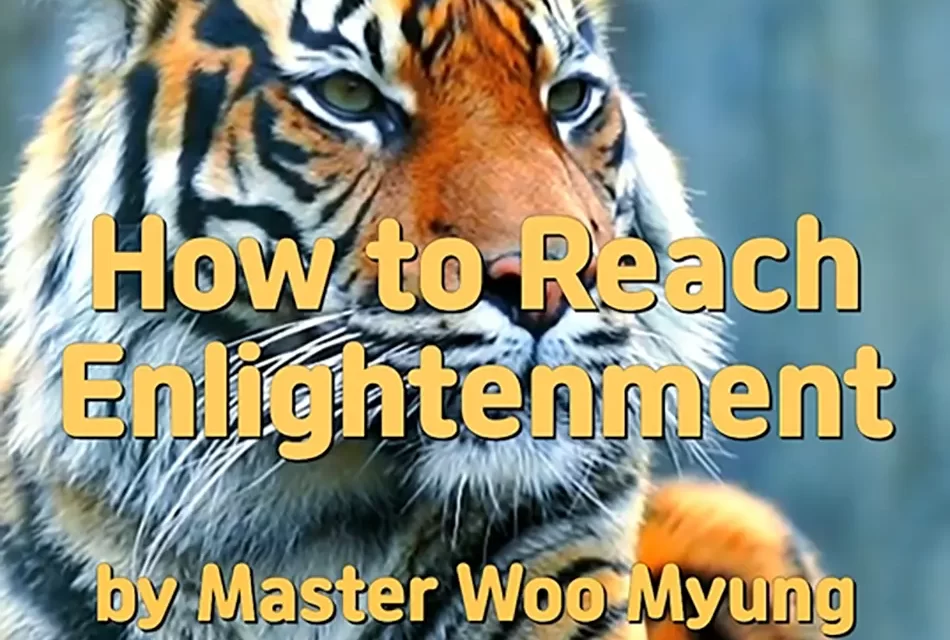 🌟 HOW TO REACH ENLIGHTENMENT: DISCARDING THE FALSE MIND AND AWAKENING TO TRUTH | MASTER WOO MYUNG | SANTA CLARA MEDITATION
