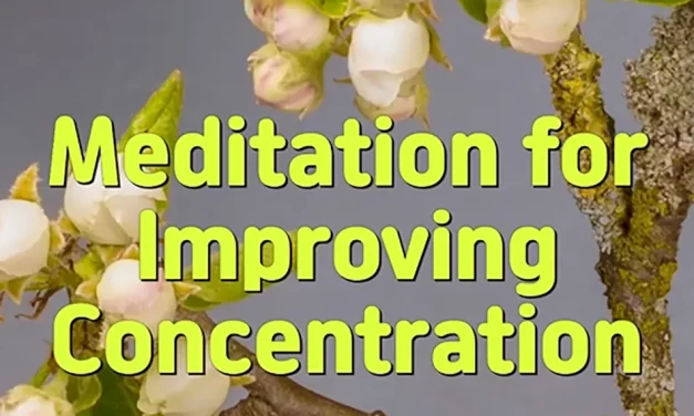 🎯 MEDITATION FOR IMPROVING CONCENTRATION: DISCARDING THOUGHTS TO GAIN WISDOM | MASTER WOO MYUNG | SANTA CLARA MEDITATION